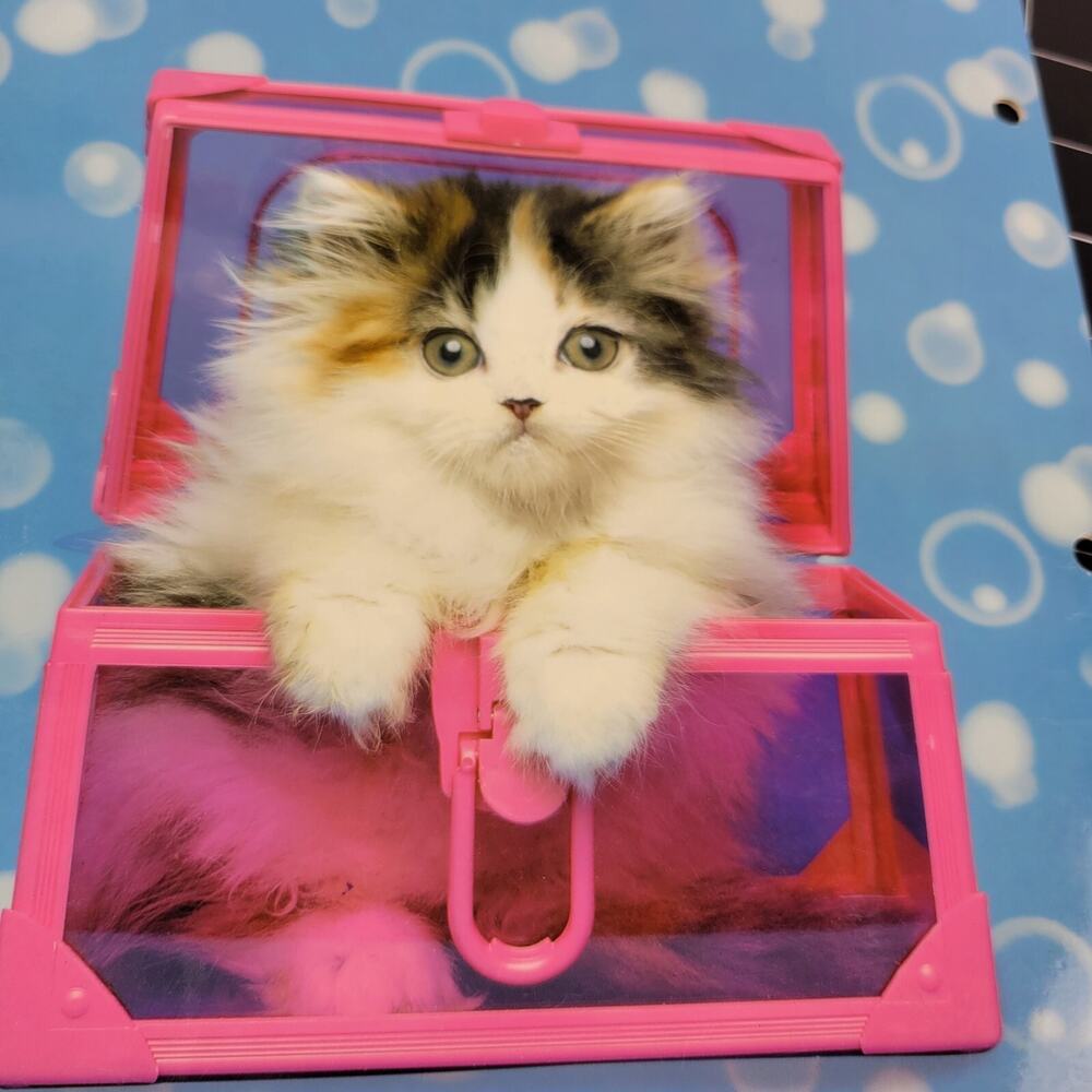 Vtg Pocket Folder Keith Kimberlin Kitty Cat Fluffy Kitten Pink Box 3 Ring 2004
